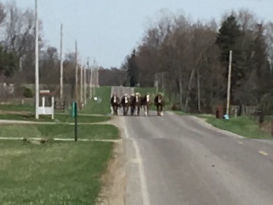 Traffic issues on my run today