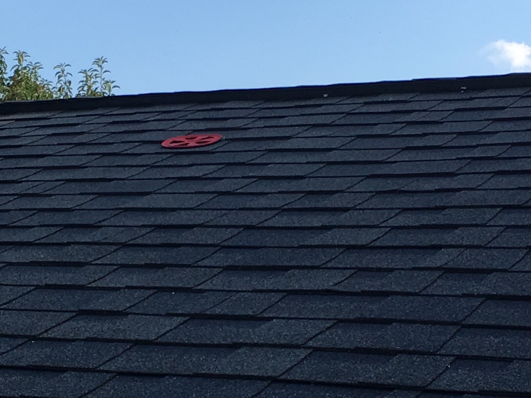 Ok frisbee, your ten year reign of terror on the garage roof is over!