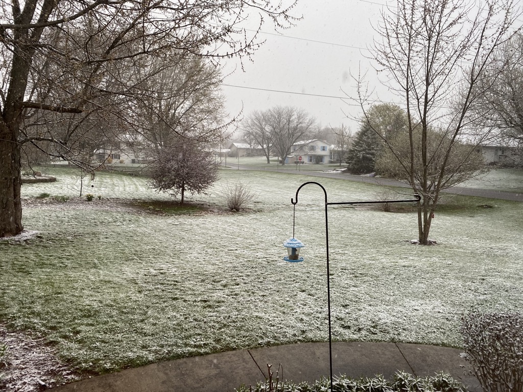 April in Ohio – and yes, I hear birds singing