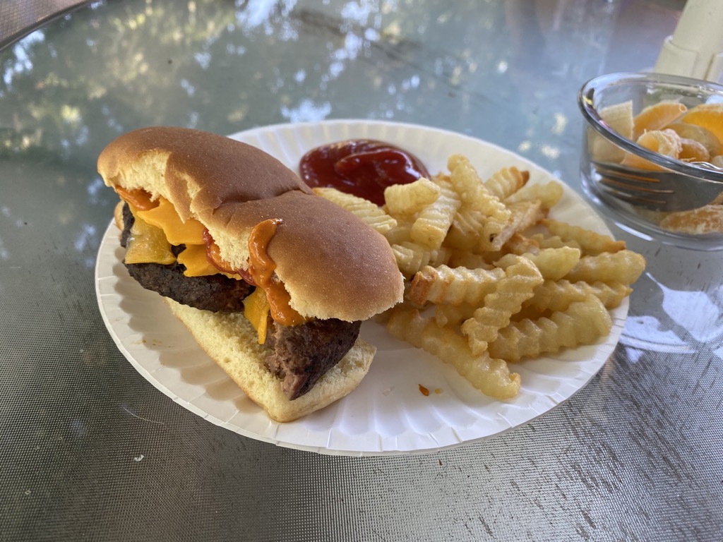 A burger dog and fries