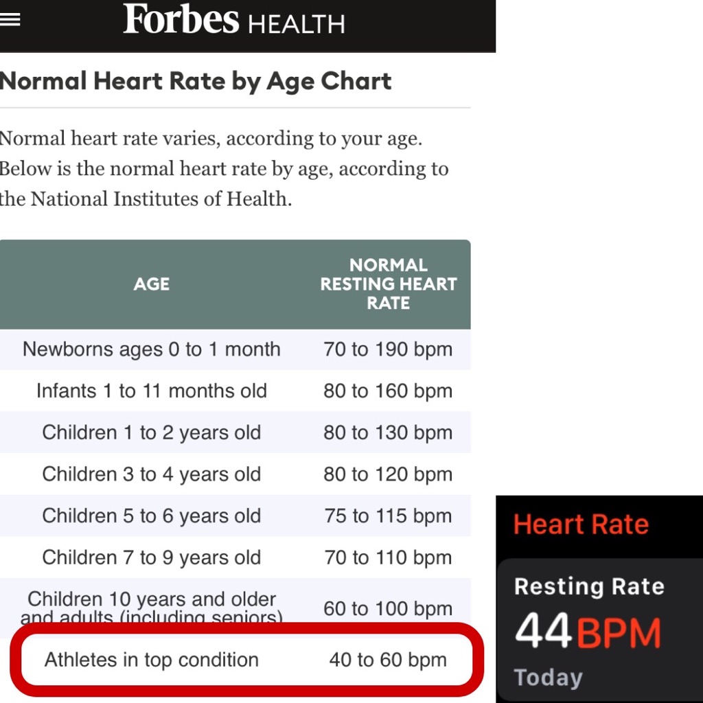 Aha! According to Forbes I’m an athlete in top condition!