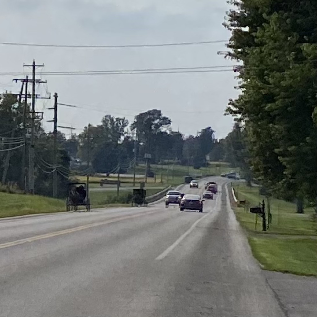 I don’t know why all of the Amish were leaving town at the same time. #running