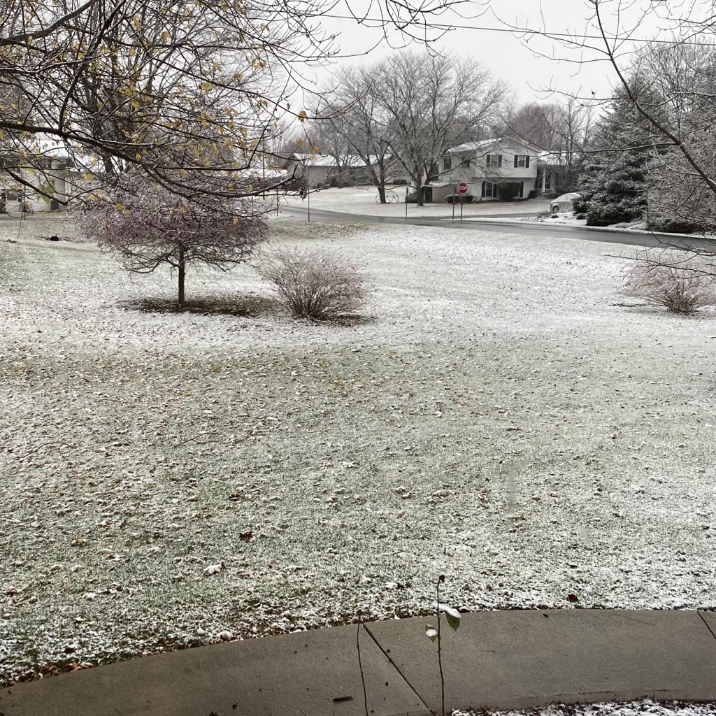 I do not count this as the first snow…