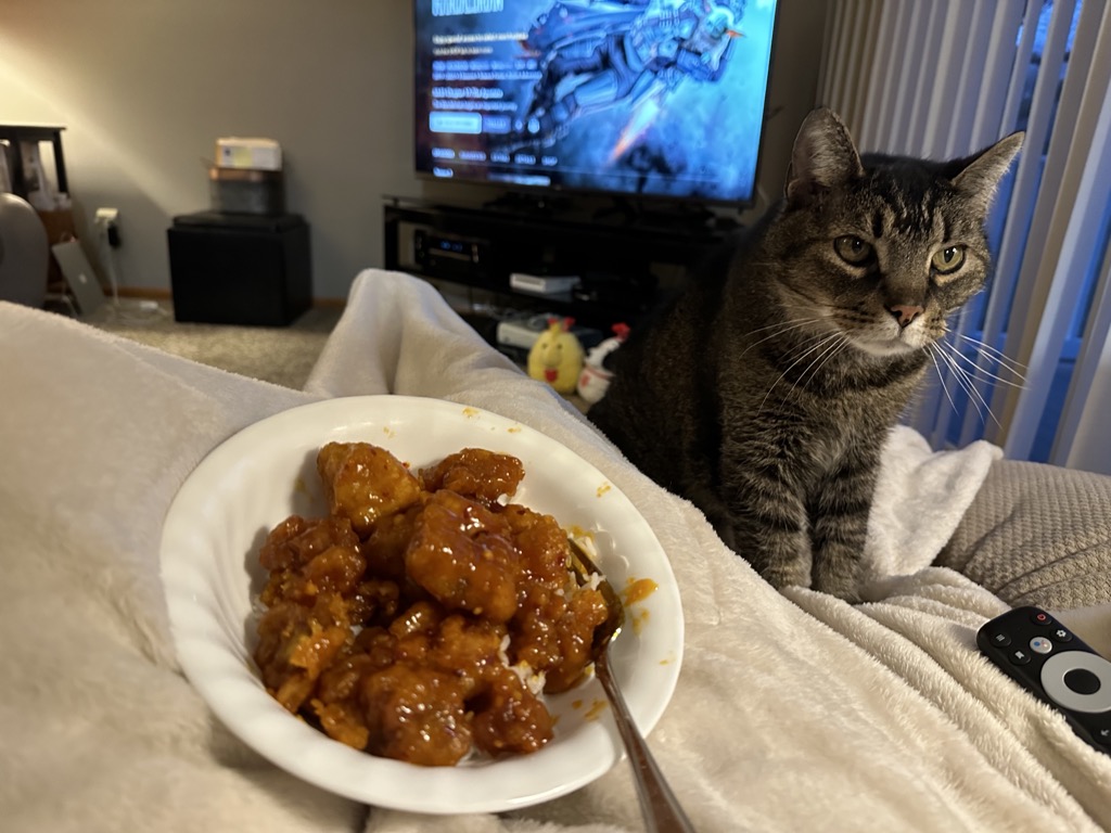 Chinese food, The Mandalorian, and a cat. The pinnacle of life.