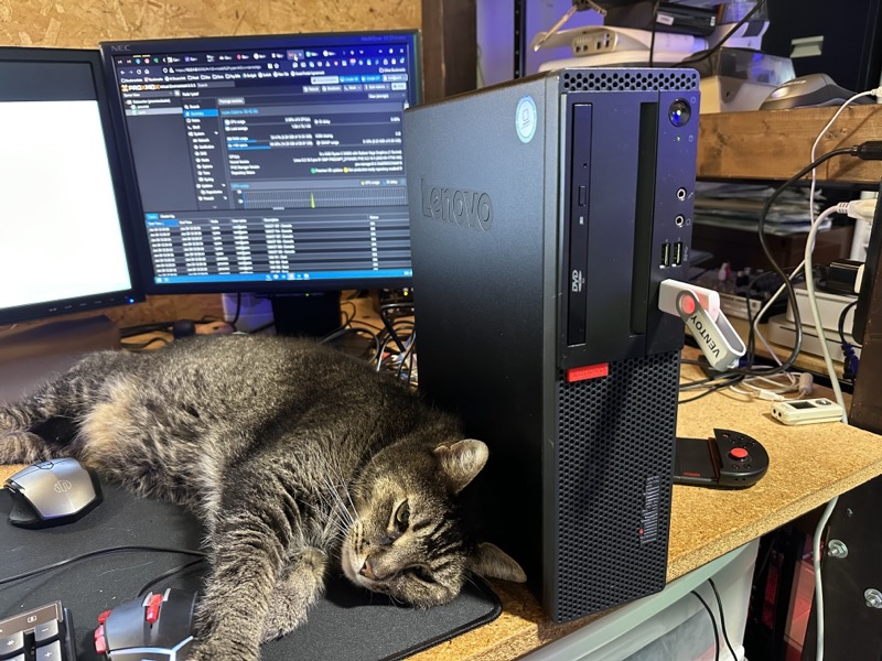 Newest addition to the homelab (the Lenovo desktop, not the cat)