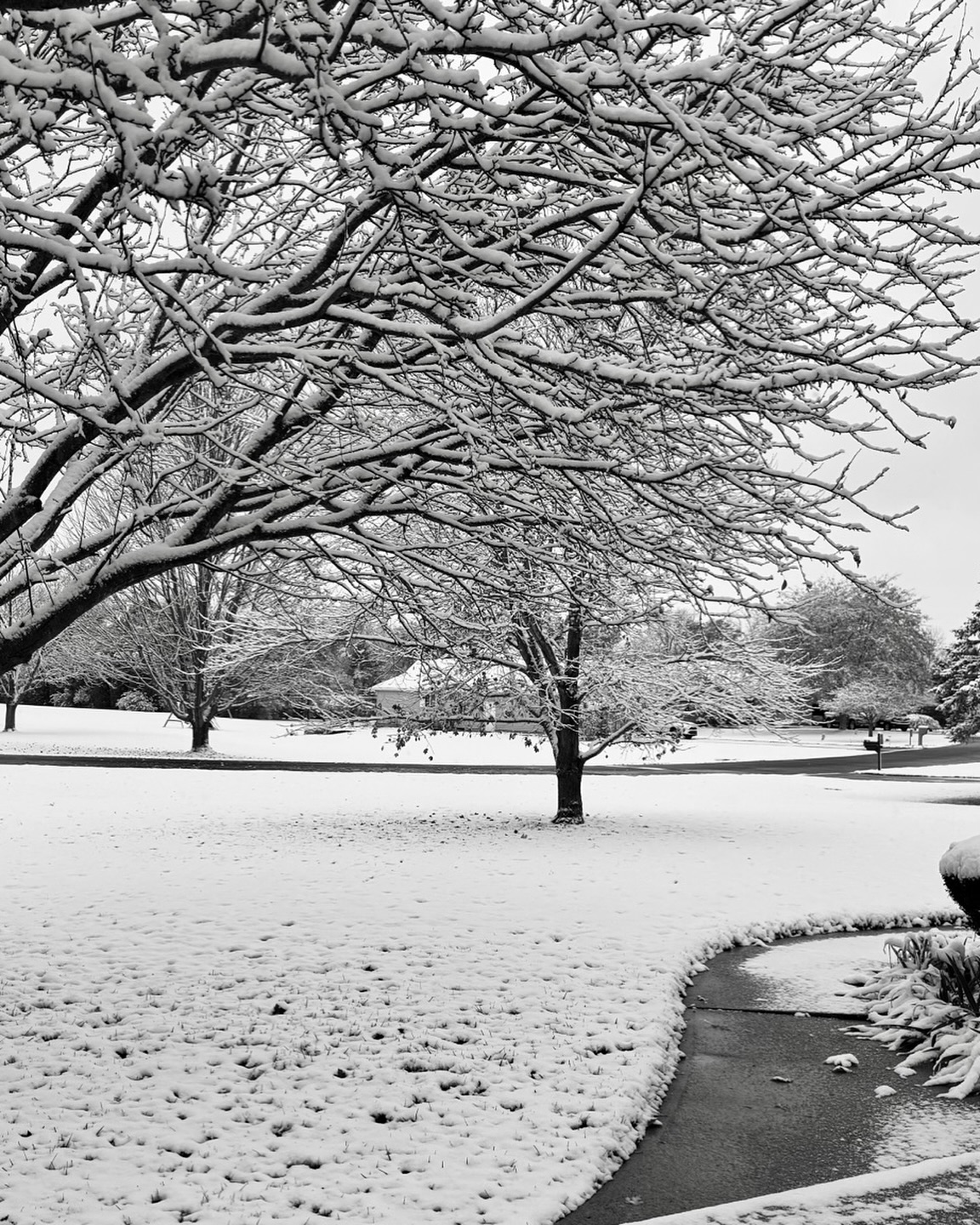 First snow of the year!